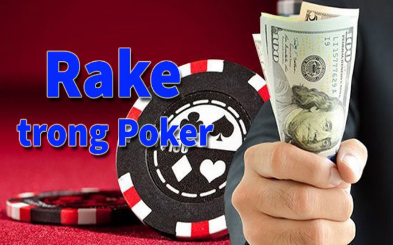 Hiểu Rake là gì trong Poker không phải điều đơn giản